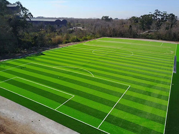 Football&nbsp;Field&nbsp;Lawn